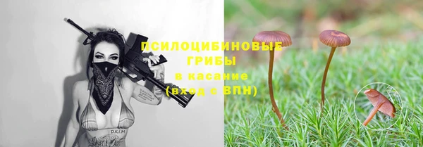 индика Нягань