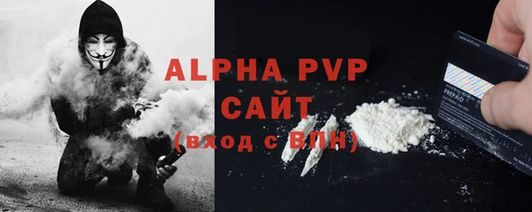 индика Нягань