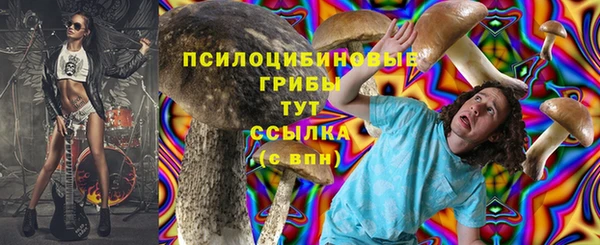 кокаин колумбия Новозыбков