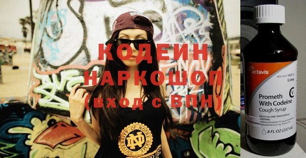 индика Нягань