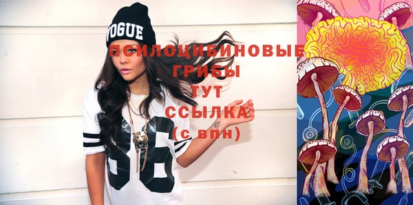 индика Нягань