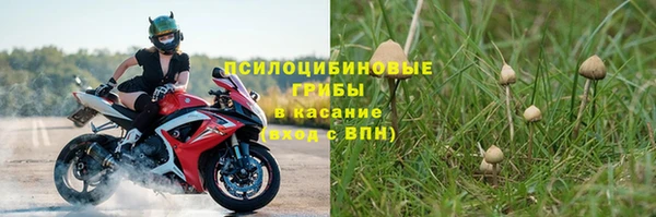 мескалин Няндома