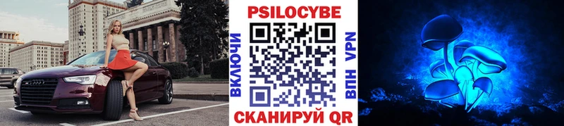 Псилоцибиновые грибы прущие грибы Старая Русса
