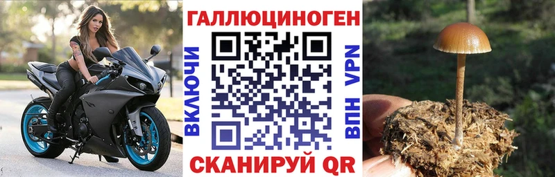 Галлюциногенные грибы мухоморы  Старая Русса 