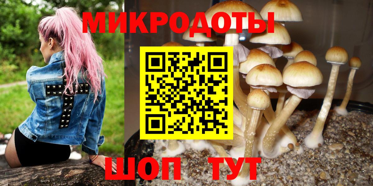 Галлюциногенные грибы Psilocybine cubensis  Галлюциногенные грибы мухоморы  Вход с VPN  Старая Русса 