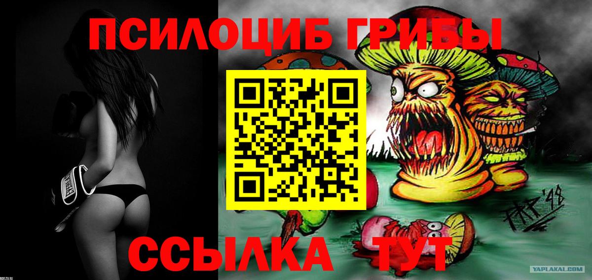 Галлюциногенные грибы мицелий Старая Русса